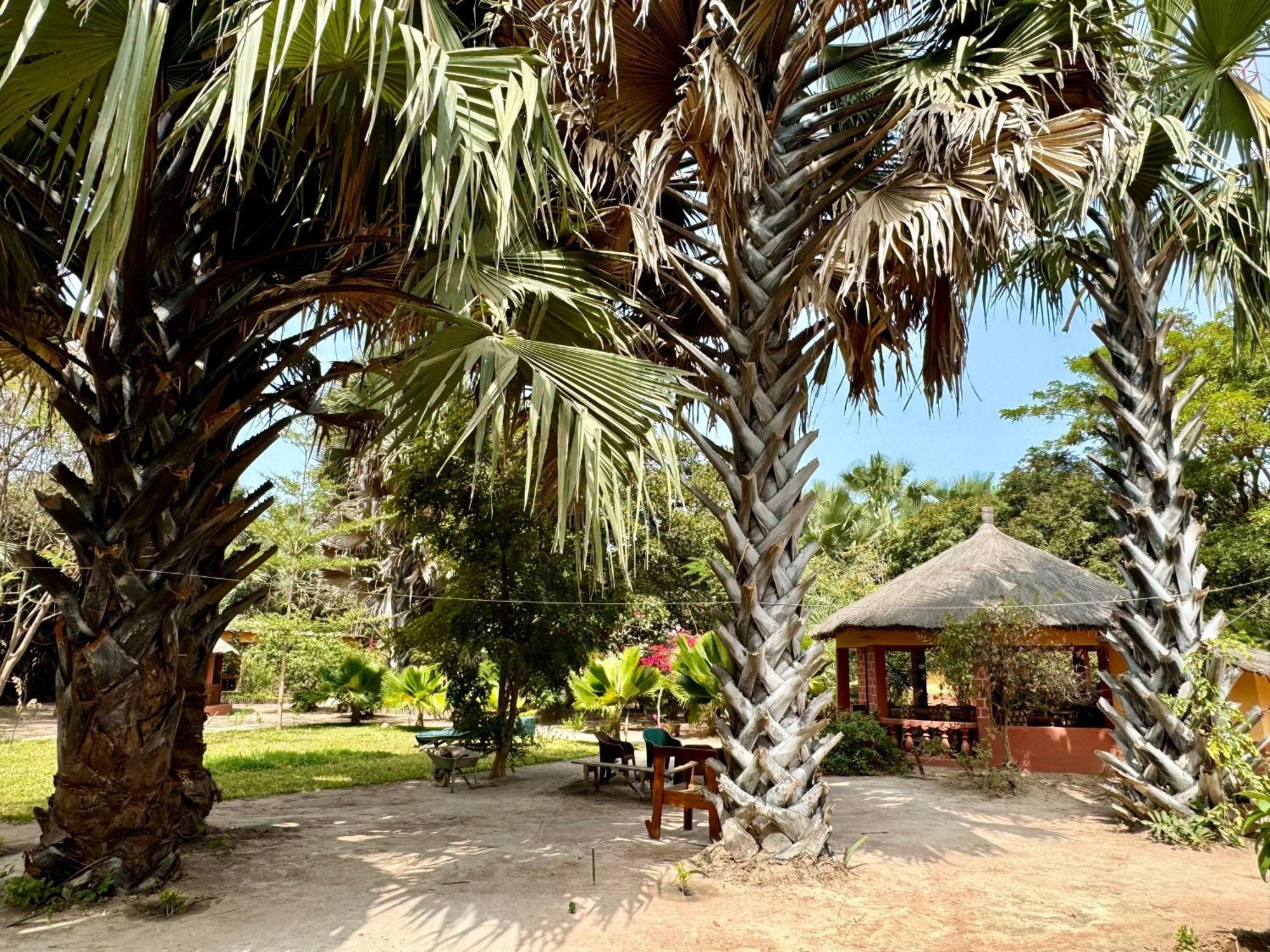 Little'S Nature Retreat Kartong 外观 照片